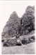 Photo 8.5 X 5.70 -  Corse- Petite Pause Dans Les Calanques De PIANA (20) 1951 - Places