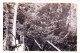 Photo 9.00 X 6.00 -  Cirque De GAVARNIE (65) Sous Le Pont Napoleon - Saint Sauveur - Aout 1934 - Places
