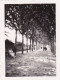 Photo 6.5 Cm X4.5 Cm - PAU - Boulevard Barbanegre  - Aout 1934 - Places