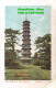 R419361 Kew Gardens. The Pagoda. F. F - World