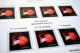 Delcampe - COLOR PRINTED USA 2011-2020 STAMP ALBUM PAGES (101 Illustrated Pages) >> FEUILLES ALBUM - Pré-Imprimés