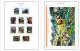 Delcampe - COLOR PRINTED USA 2005-2010 STAMP ALBUM PAGES (90 Illustrated Pages) >> FEUILLES ALBUM - Vordruckblätter