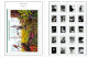 Delcampe - COLOR PRINTED USA 2000-2004 STAMP ALBUM PAGES (88 Illustrated Pages) >> FEUILLES ALBUM - Vordruckblätter