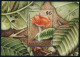 Antigua 1223-1230, 1231-1232, MNH. Michel 1258-1265, Bl.162-163. Mushrooms 1989. - Antigua And Barbuda (1981-...)
