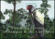 Antigua 2505-2506,MNH. Vanishing Species Of Caribbean,2001.Ocelot,King Vulture. - Antigua En Barbuda (1981-...)