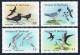 Antigua 1005-1012, 1013-1014, MNH. Mi 1010-1019 Bl.123-124. WWF 1987. Fish,Birds - Antigua Und Barbuda (1981-...)