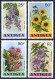 Antigua 519-522,523, MNH. Mi 520-523,Bl.38. Flowers 1978. Wreath, Hibiscus Rose. - Antigua And Barbuda (1981-...)