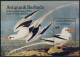 Antigua 845-848,849, MNH. Mi 851-854,Bl.91. Audubon Birds 1985. Grebe,Cormorant, - Antigua Und Barbuda (1981-...)