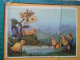 KOV 506-35 - Chicken, Poulet, Duck, Canard - Sonstige & Ohne Zuordnung