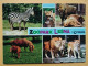 KOV 506-33 - LION, LEONESSA, LIONNE, ZEBRA, ZOO GARDEN LESNA, GOTTWALDOV, JARDIN ZOOLOGIQUE - Löwen