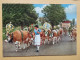 KOV 506-31 - COW, VACHE , ALMABTRIEB, CARNAVAL - Cows