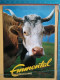 KOV 506-30 - COW, VACHE EMMENTAL - Cows