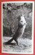 RPPC Chipmunk Begging For Peanuts  Ref 6410 - Other & Unclassified