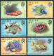 Belize 699-714 Perf.15,705a-711a Perf.13.5,MNH. Marine Life 1984-88.Fish,Corals. - Belize (1973-...)