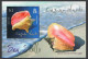 Cayman 1058-1063,1064,MNH. Shells 2010. Hawk-wing Conch,Ornate Scallop,Chestnut, - Kaimaninseln