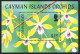Cayman 932-936,937,MNH. Orchids 2005. - Iles Caïmans