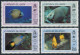 Cayman 618-621,MNH.Michel 632-635. Angelfish 1990. - Cayman (Isole)