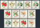 Colombia 716-C370,C420-C425 Blocks Of 4, MNH. Michel 907-925. Flowers,1960-1962. - Colombia