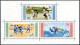 Dominican Rep B25a,CB15a Perf,imperf,MNH. 1959.IGY-1957.Olympics Melbourne-1956. - Dominican Republic