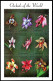 Grenada Gren 2028-2031 Sheets,MNH.Michel 2706-2723. Orchids 1998. - Grenada (1974-...)