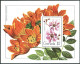 Grenada 910-913,914,MNH.Mi 956-959,Bl.81. Flowers 1979.Chenille Plant,Hibiscus, - Grenada (1974-...)