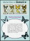 Jamaica 398-401, 401a Sheet, MNH. Mi 398-401,Bl.8. Butterflies, 1975. Graphium - Jamaica (1962-...)