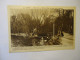 FRANCE   POSTCARDS LYON PARC DE LA TETE-D'OR - Andere & Zonder Classificatie