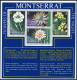 Montserrat 366-369, 369a Sheet, MNH. Michel 366-369. Flowers Of The Night, 1977. - Montserrat