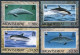 Montserrat 753-756,757,MNH.Michel 786-789,Bl.59. WWF 1990.Dolphins Of Atlantic. - Montserrat