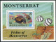 Montserrat 758-761,762,MNH.Mi 795-798,Bl.60. 1991.Goat-fish,Starfish,Trunk-fish, - Montserrat
