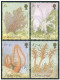 Montserrat 855-858, 859, MNH. Sea Vegetation 1995. Fan, Lily, Pen, Rose. - Montserrat