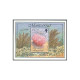 Montserrat 855-858, 859, MNH. Sea Vegetation 1995. Fan, Lily, Pen, Rose. - Montserrat