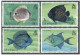 Montserrat 381-384, 384a Sheet, MNH. Michel 381-384, Bl.15. Fish 1978. - Montserrat