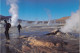 San Pedro De Atatama Chile Geisers Del Tatio Fauna - Chili