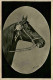 Pferd - Künstlerkarte - Chevaux