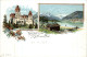 Gruss Aus Zell Am See - Litho - Zell Am See