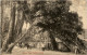 Banyan Tree Kalutara - Ceylon - Sri Lanka (Ceylon)