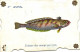 1er Avril Carte Ajoutis Poisson  Etoiles Il Désire Etre Mangé Par Vous RV - April Fool's Day