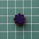 Badge Pin ZN013232 - Electronics Telefunken - Marques