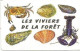 Carte De Visite Les VIVIERS De La FORET  29 LA FORET FOUESNANT  Coquillage Shell - Tarjetas De Visita