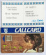 Ireland Telecom Eireann Callcard Chip Phone Card 20Units Tina Turner Certificate Mint - Collections