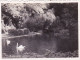 Photo 5.8 X 4.5 -  COGNAC ( 16 ) Jardin Public - Aout 1934 - Places