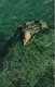 ANTILLES - The Citadelle - King Henri Christophe's Citadelle Began After Haiti's Independence In 1804 - Carte Postale - Haiti