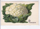 Delcampe - PUBLICITE : Série De 12 Cartes Postales Pour Les Conserves HERO(fruits - Légumes) - Très Bon état - Publicité