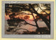 Coucher De Soleil : En Méditerrané / Carte Toilée (voir Scan Recto/verso) - Hold To Light