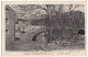 81 - B16521CPA - VIANE PIERRESEGADE - Le Pont Vieux - Parfait état - TARN - Autres & Non Classés