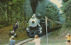 ZUG Schienenverkehr Eisenbahnen Vintage Ansichtskarte Postkarte CPSMF #PAA460.A - Trains
