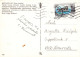 FIORI Vintage Cartolina CPSM #PAS476.A - Bloemen