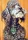 PERRO Animales Vintage Tarjeta Postal CPSM #PAN888.A - Dogs