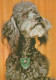 DOG Animals Vintage Postcard CPSM #PAN887.A - Hunde